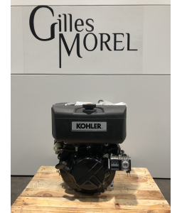 Moteur complet neuf diesel LOMBARDINI KD15-440