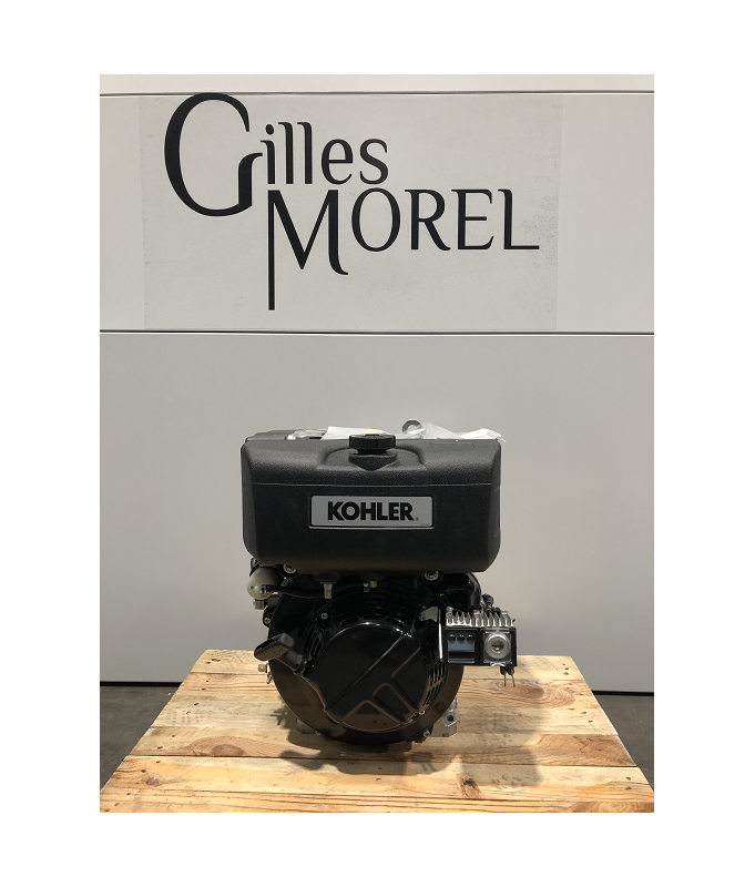 Moteur complet neuf diesel LOMBARDINI KD15-440